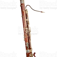 bassoon